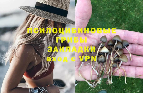 гидра Надым