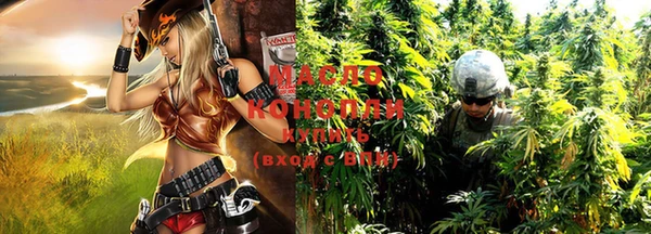 гидра Надым